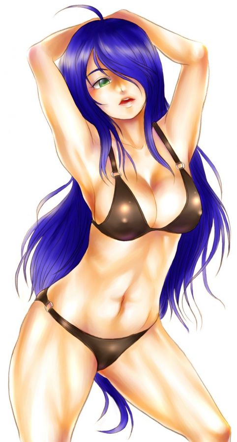 Ikki_tousen_20110828_007.jpg